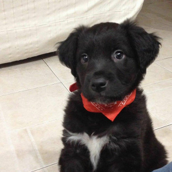 Jax