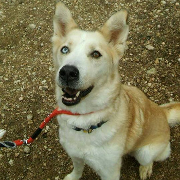 Wilma