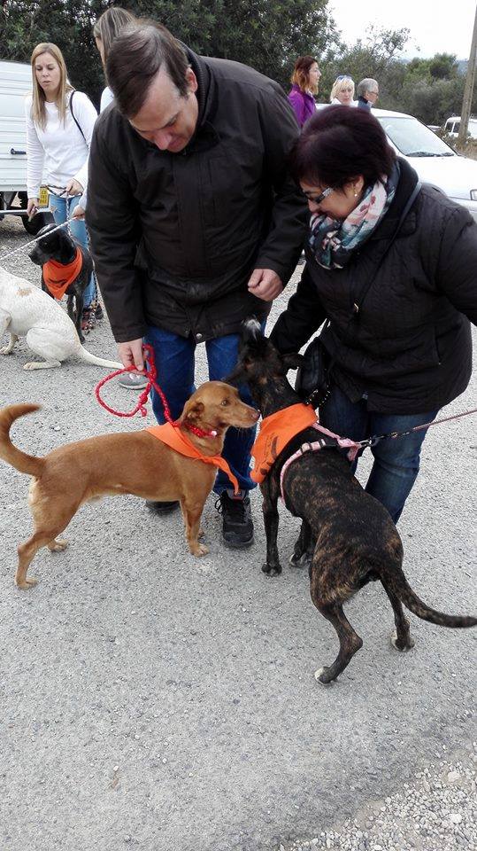 3a caminata canina solidaria 2016