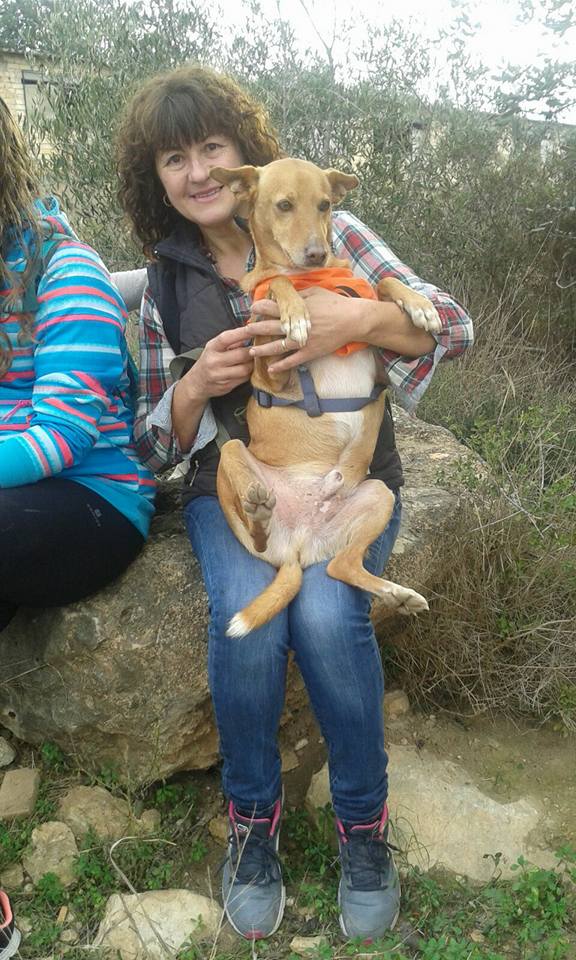 3a caminata canina solidaria 2016