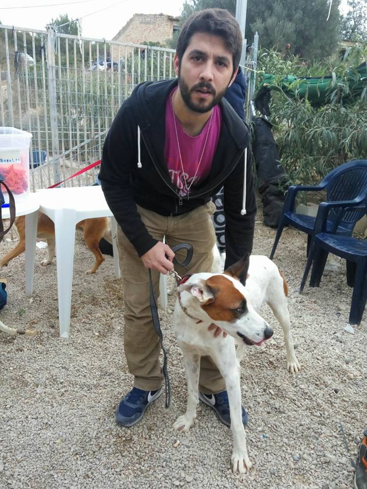 3a caminata canina solidaria 2016