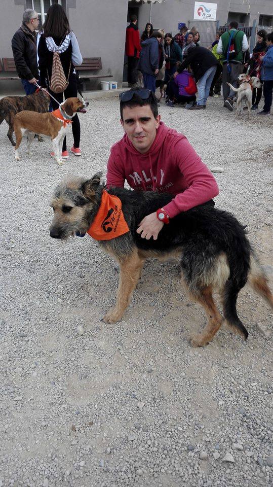 3a caminata canina solidaria 2016