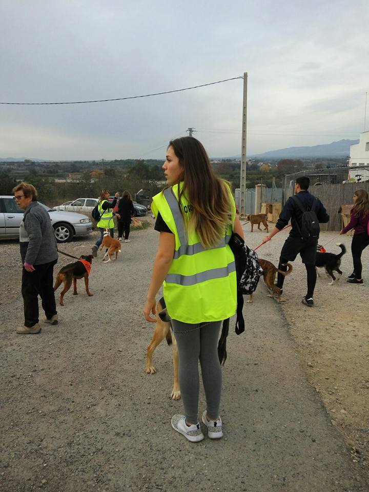 3a caminata canina solidaria 2016