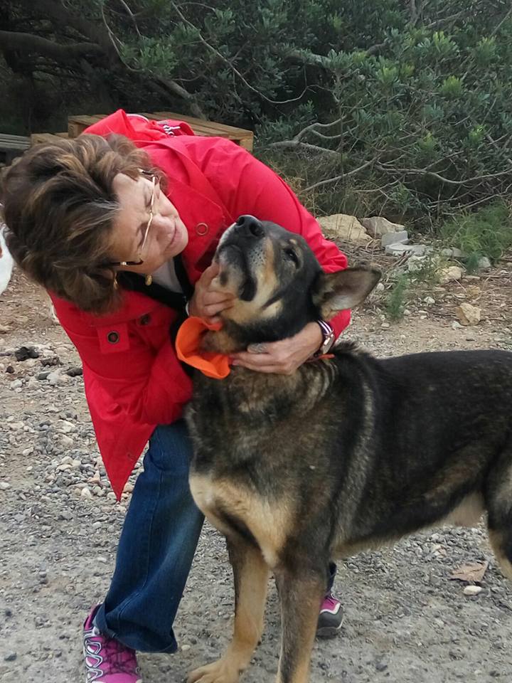 3a caminata canina solidaria 2016