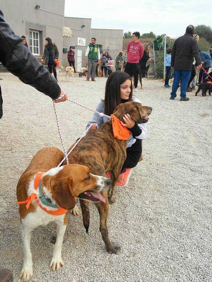 3a caminata canina solidaria 2016