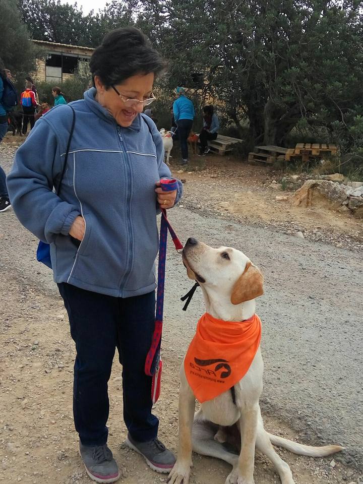 3a caminata canina solidaria 2016