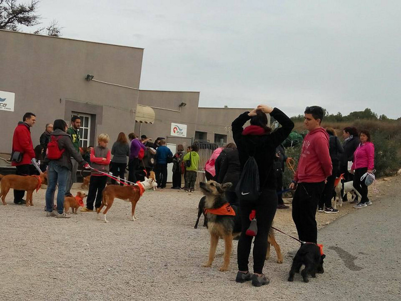 3a caminata canina solidaria 2016