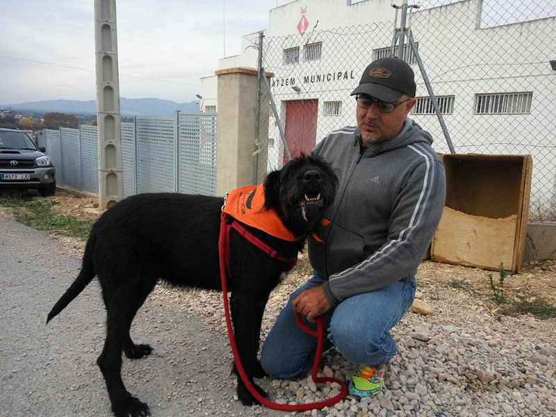 3a caminata canina solidaria 2016