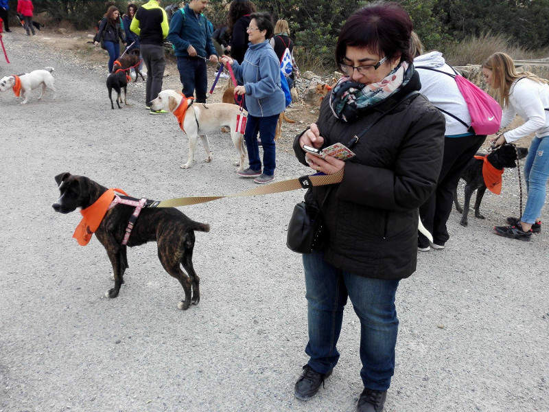 3a caminata canina solidaria 2016