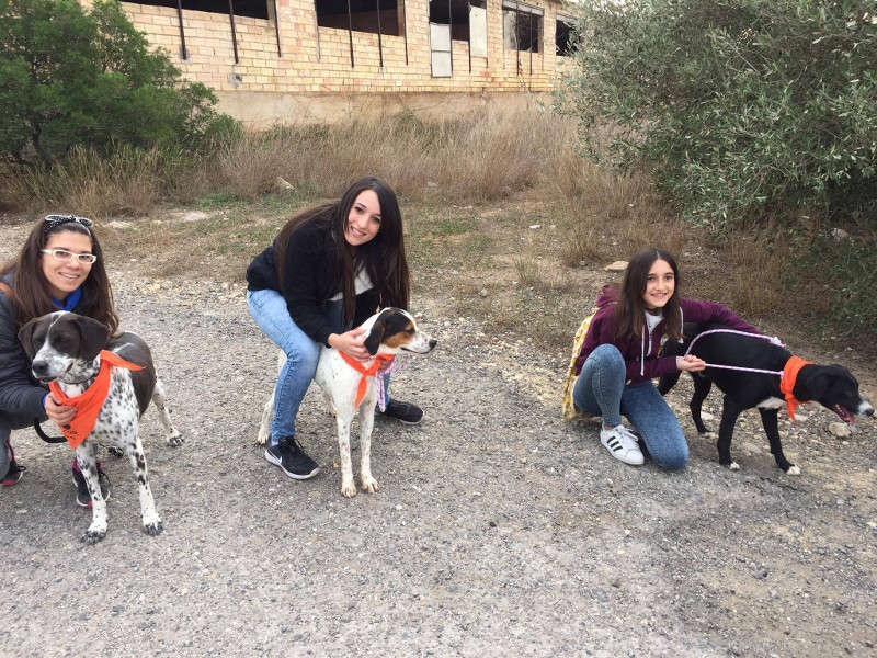 3a caminata canina solidaria 2016