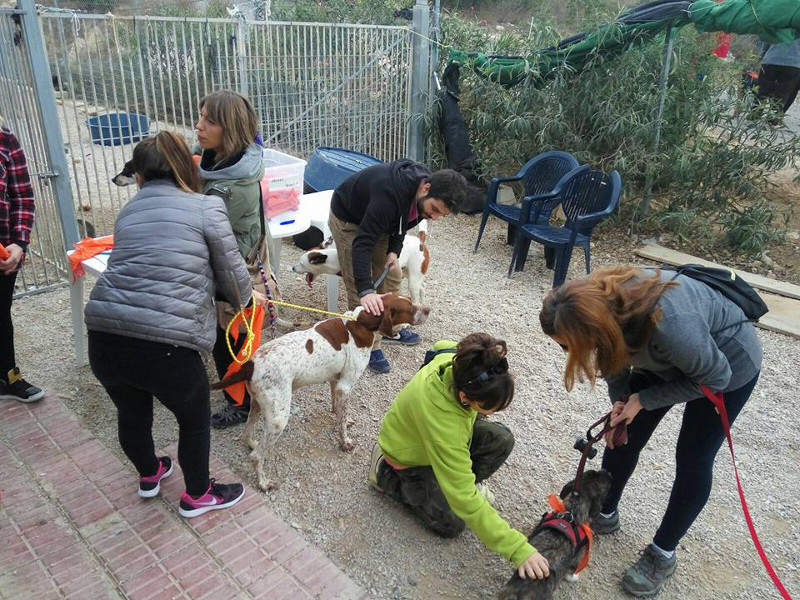 3a caminata canina solidaria 2016