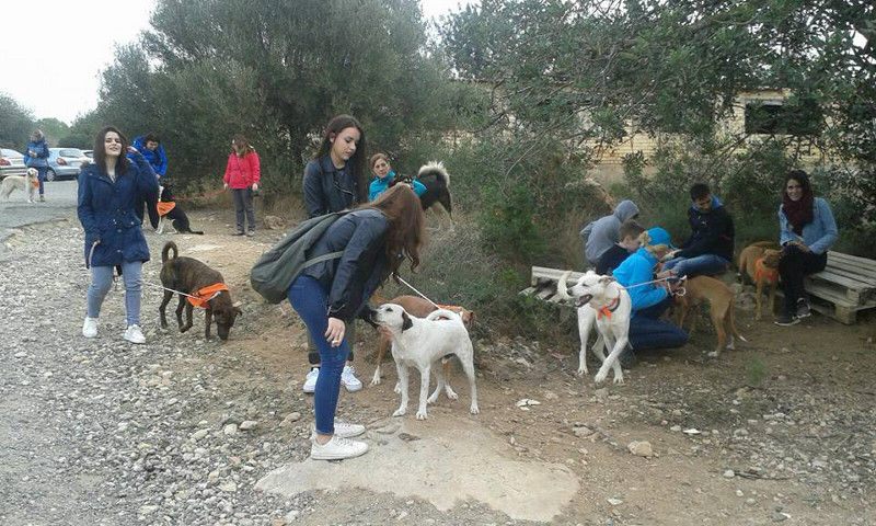 3a caminata canina solidaria 2016