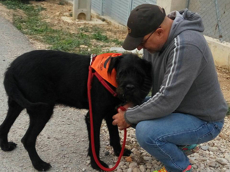 3a caminata canina solidaria 2016