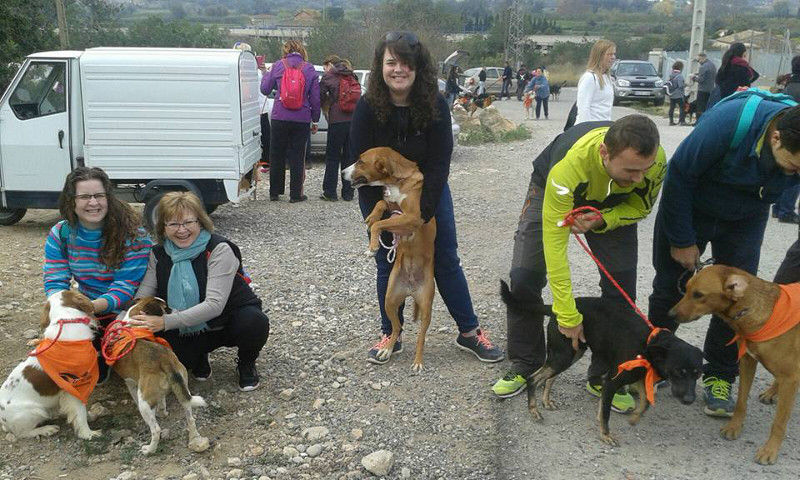 3a caminata canina solidaria 2016