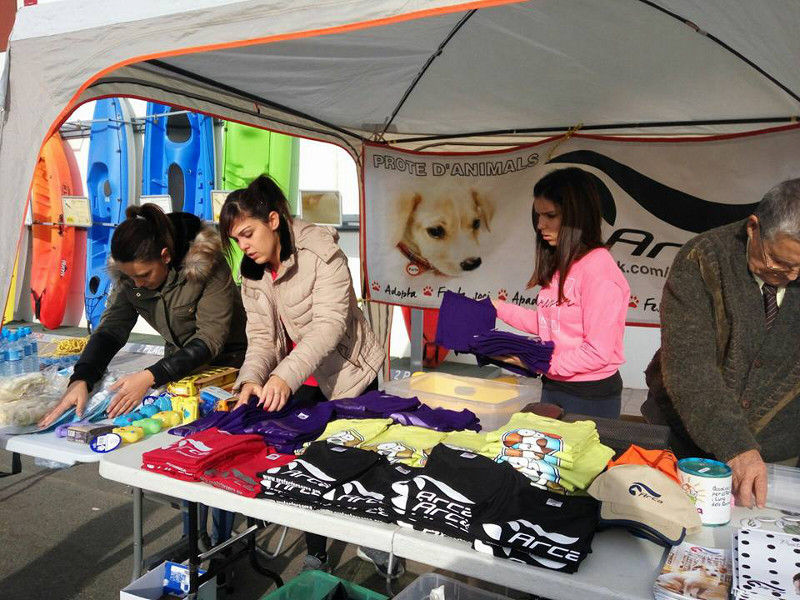 3a caminata canina solidaria 2016