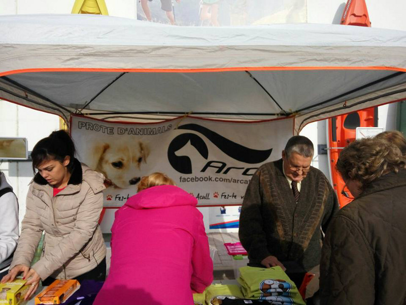 3a caminata canina solidaria 2016
