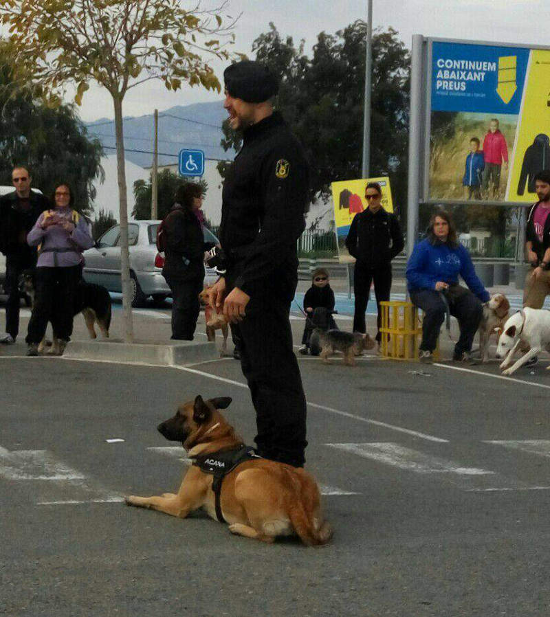 3a caminata canina solidaria 2016