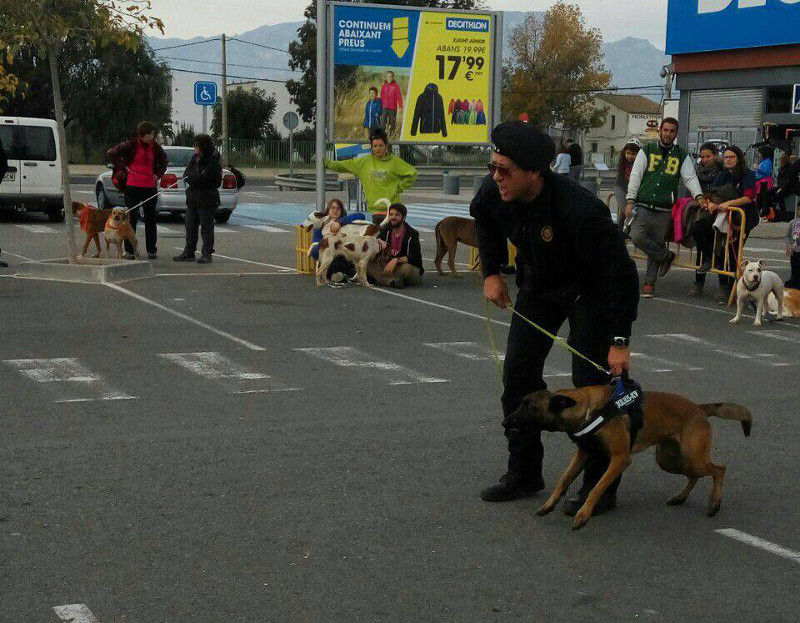 3a caminata canina solidaria 2016