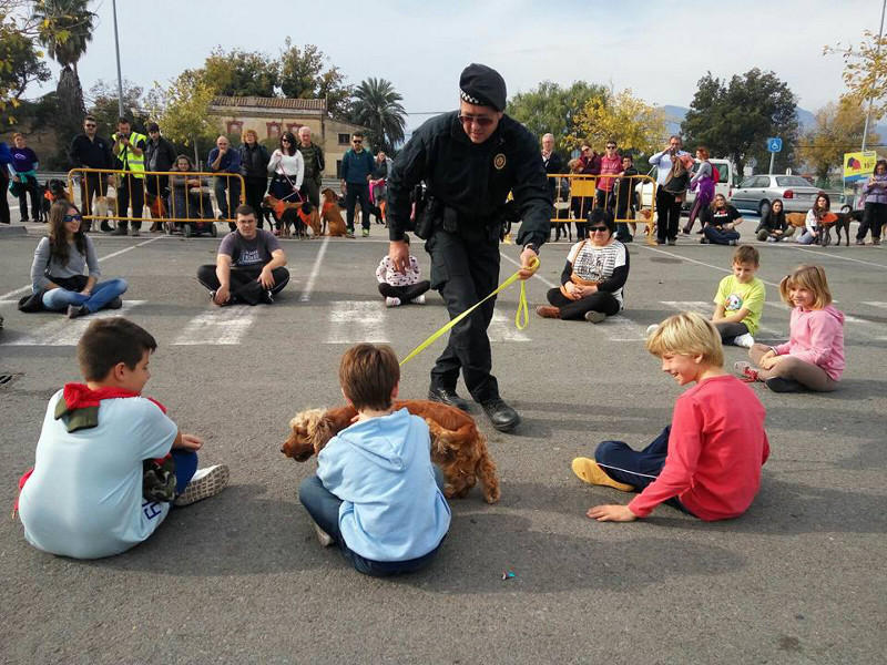 3a caminata canina solidaria 2016