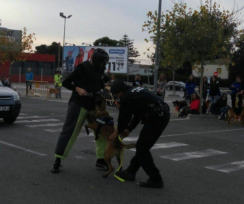 3a caminata canina solidaria 2016