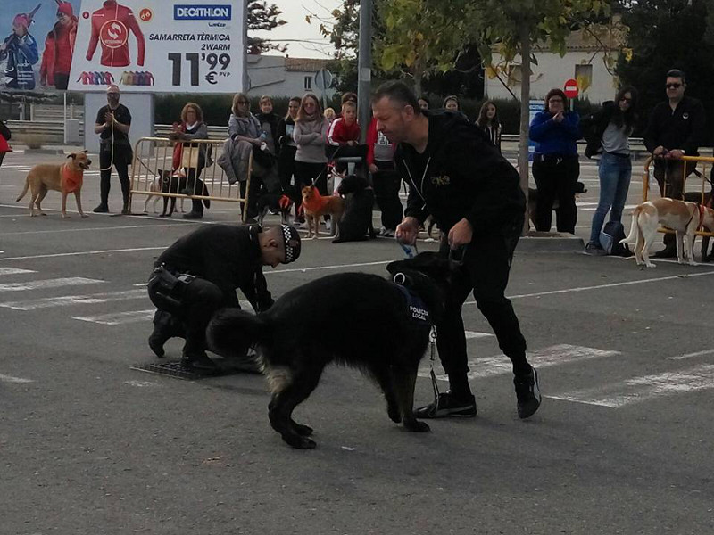 3a caminata canina solidaria 2016