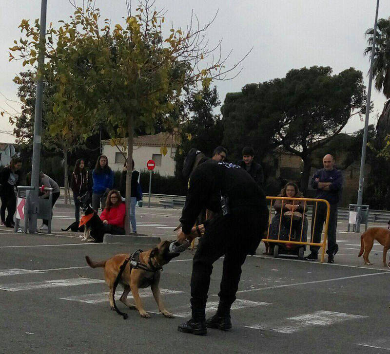 3a caminata canina solidaria 2016