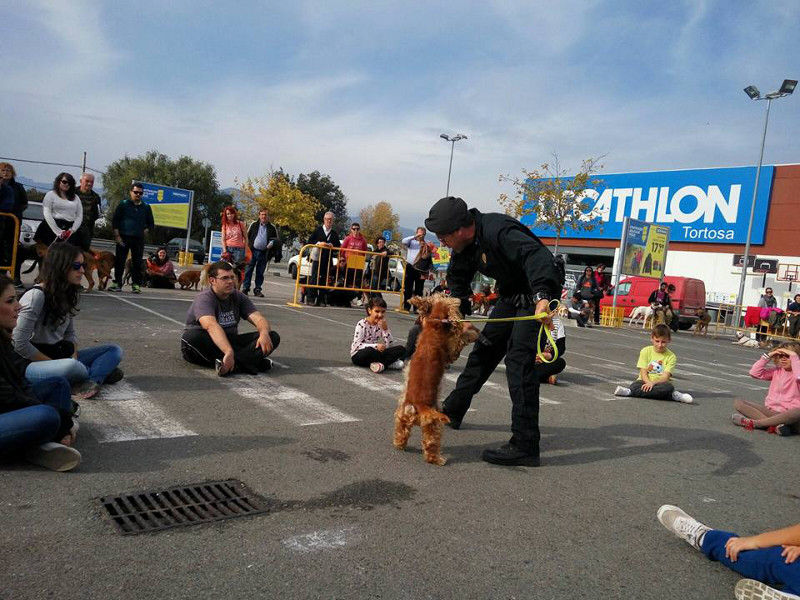 3a caminata canina solidaria 2016