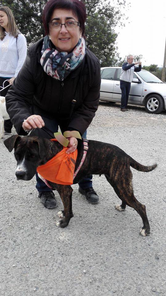 3a caminata canina solidaria 2016