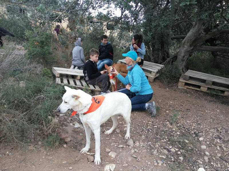 3a caminata canina solidaria 2016