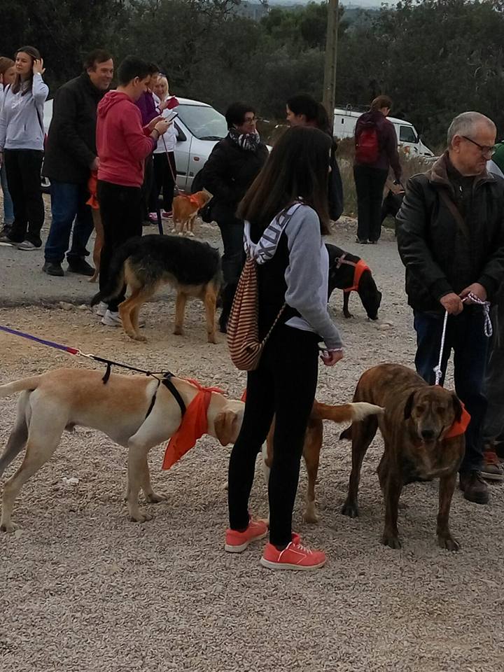 3a caminata canina solidaria 2016