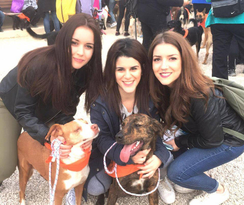 3a caminata canina solidaria 2016
