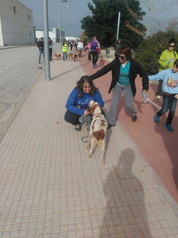 3a caminata canina solidaria 2016