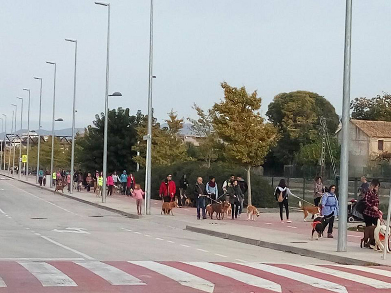 3a caminata canina solidaria 2016