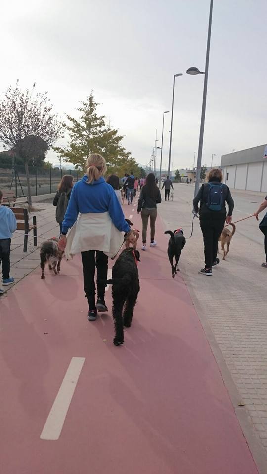 3a caminata canina solidaria 2016