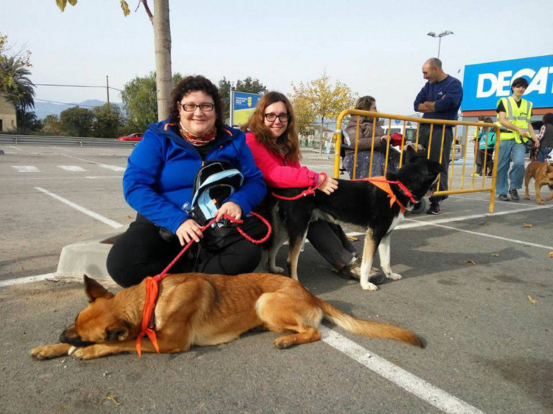 3a caminata canina solidaria 2016