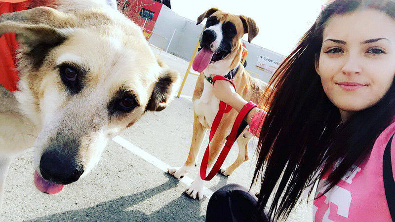 3a caminata canina solidaria 2016