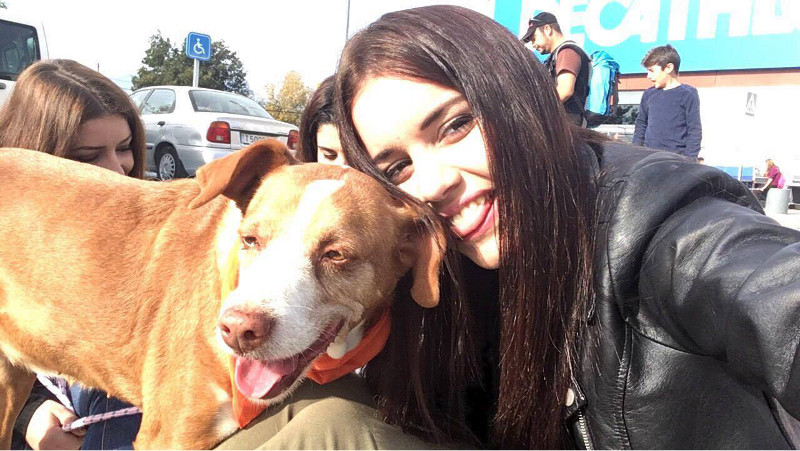 3a caminata canina solidaria 2016