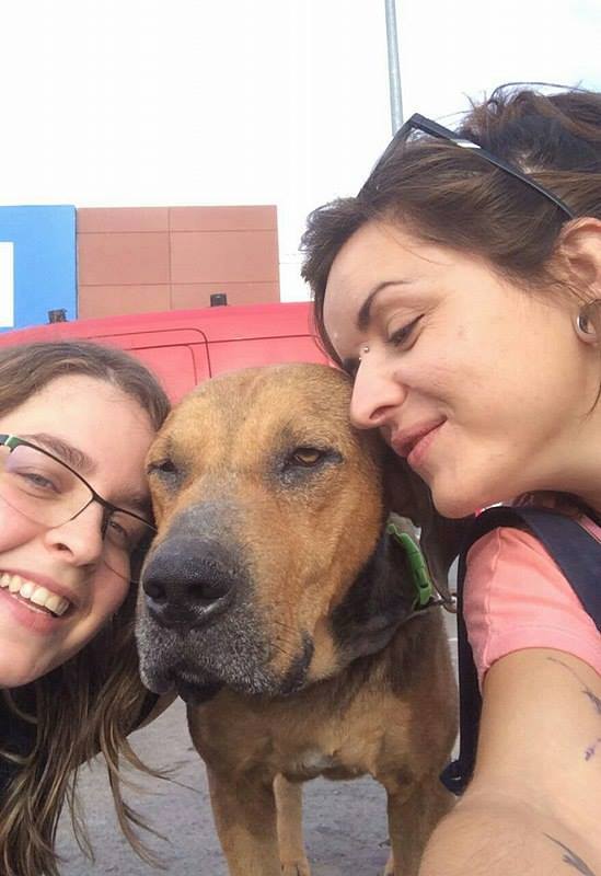 3a caminata canina solidaria 2016