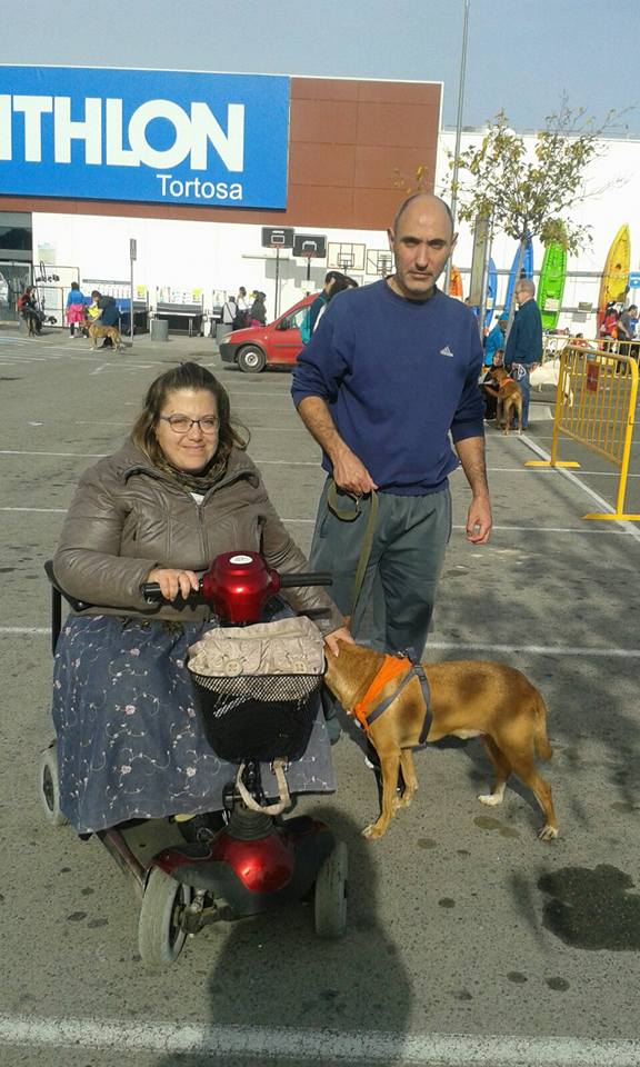 3a caminata canina solidaria 2016