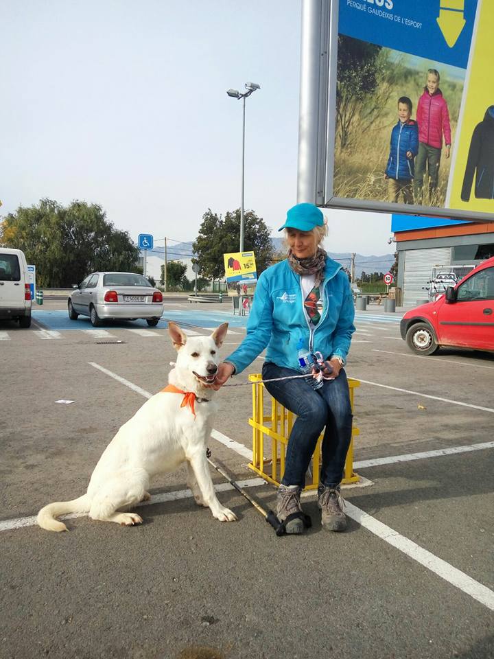 3a caminata canina solidaria 2016