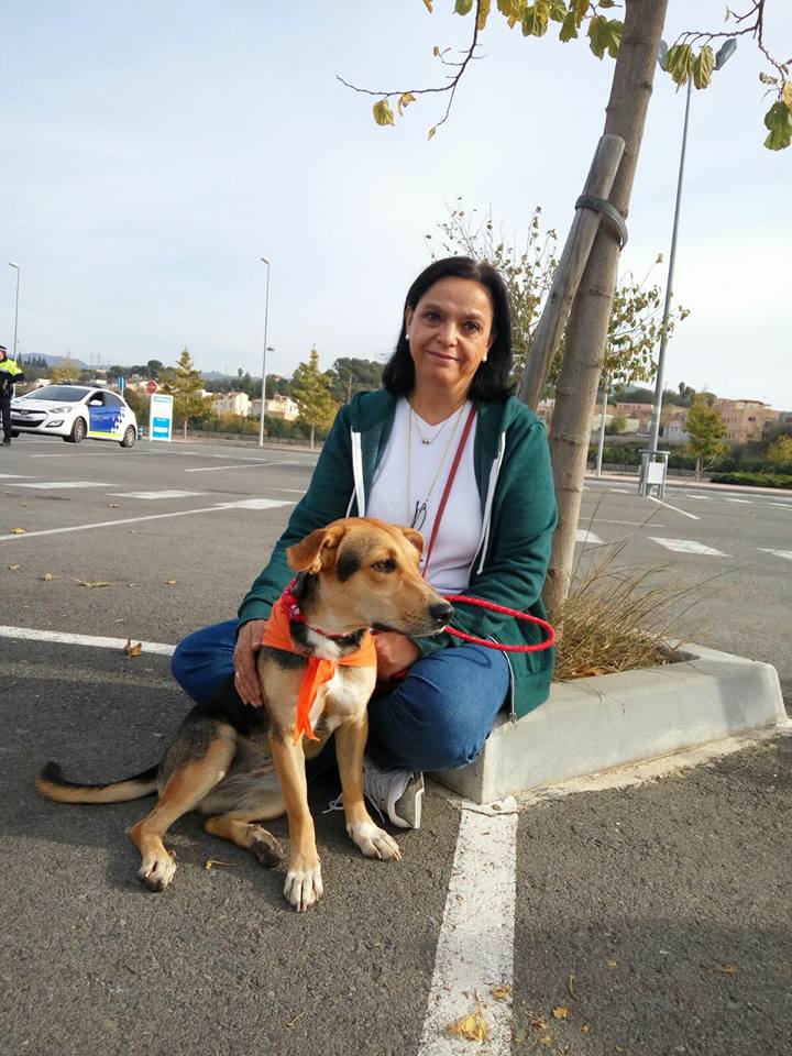 3a caminata canina solidaria 2016
