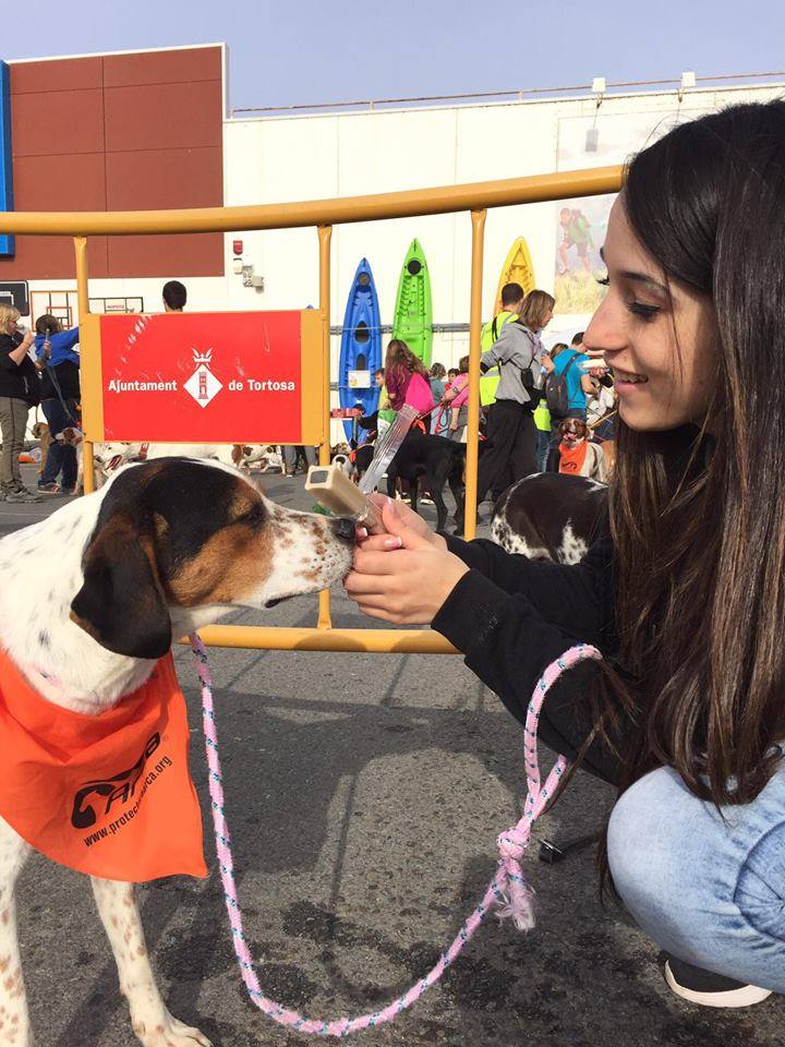3a caminata canina solidaria 2016