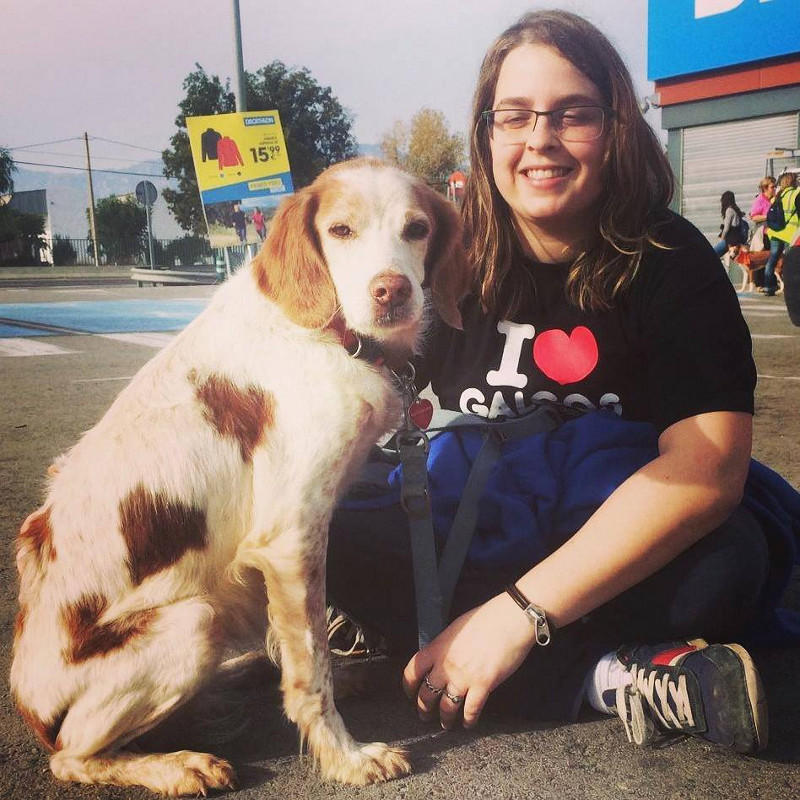 3a caminata canina solidaria 2016