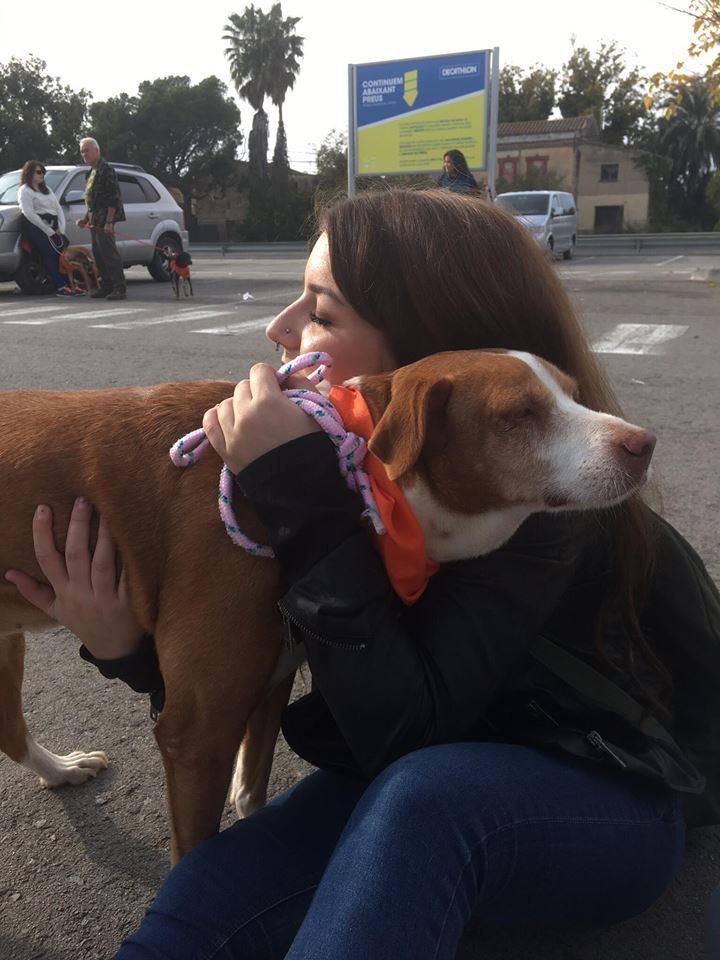 3a caminata canina solidaria 2016