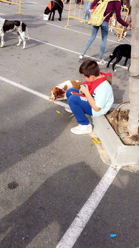 3a caminata canina solidaria 2016