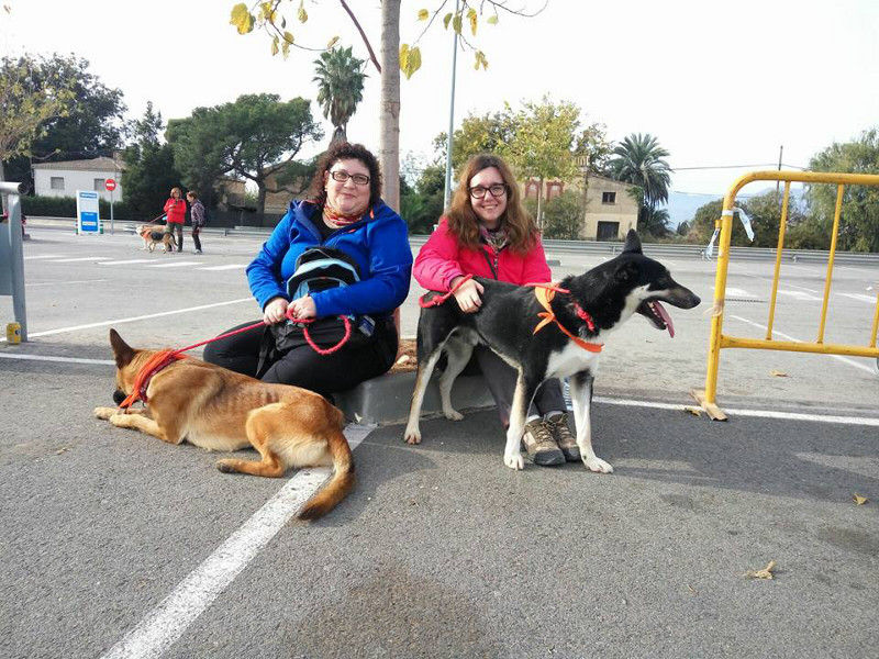 3a caminata canina solidaria 2016