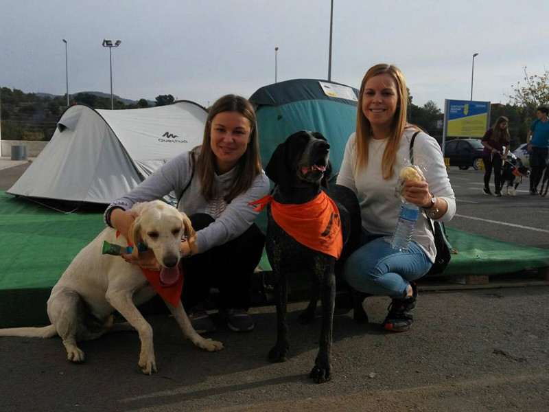 3a caminata canina solidaria 2016