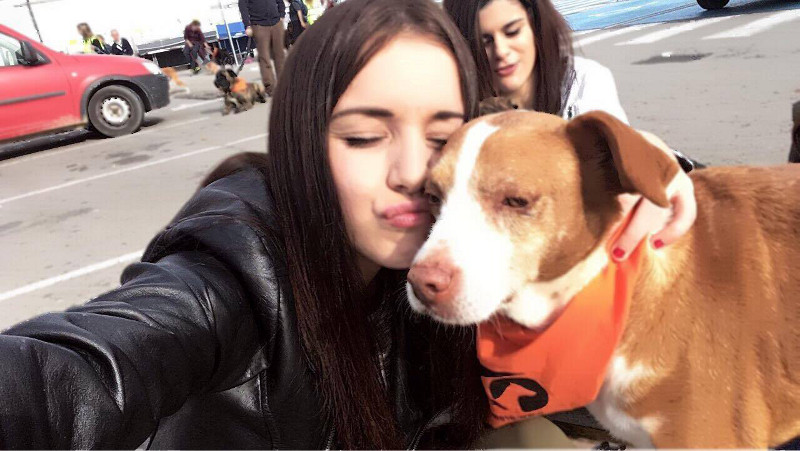 3a caminata canina solidaria 2016