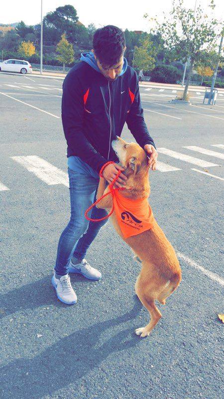 3a caminata canina solidaria 2016