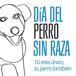 Dia del gos sense raça
